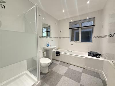 Picture 24